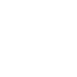 bostonwhite